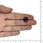 Image thumbnail