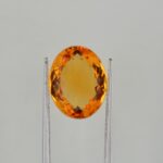 Image thumbnail