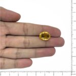 Image thumbnail